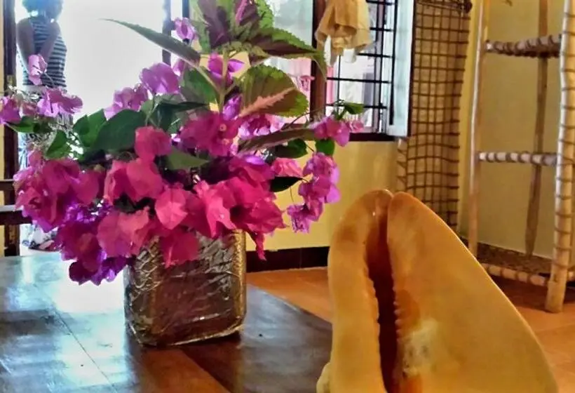 スタンダードルーム, Sipano Beach Lodge Kiwengwa