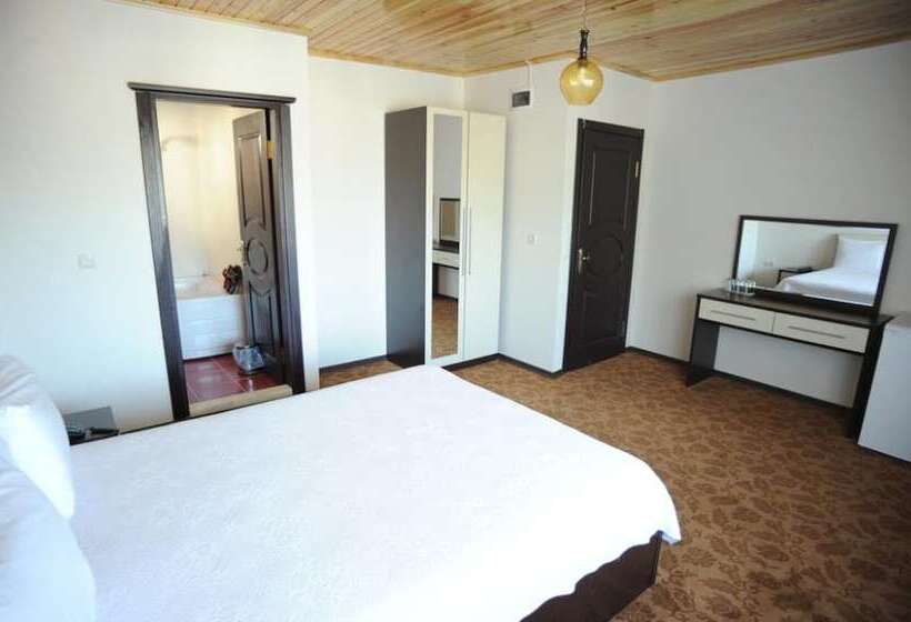 اتاق استاندارد, Thermal Aydin