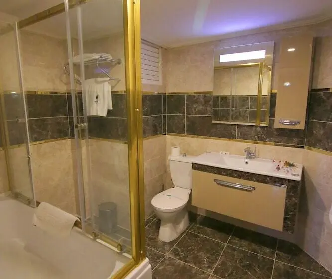 スタンダードルーム, Aykut Palace Otel