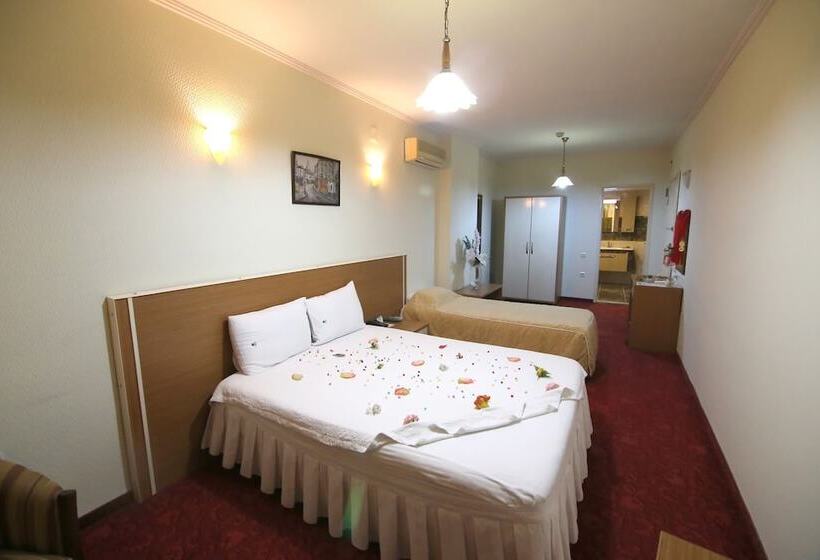غرفة قياسية, Aykut Palace Otel