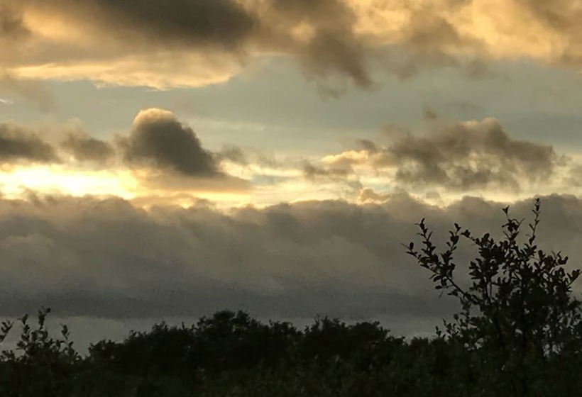 디럭스 스위트, Equinox Inn At Canyon Lake