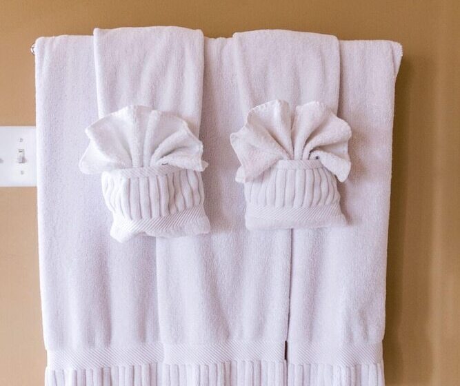 프리미엄 스위트, Equinox Inn At Canyon Lake