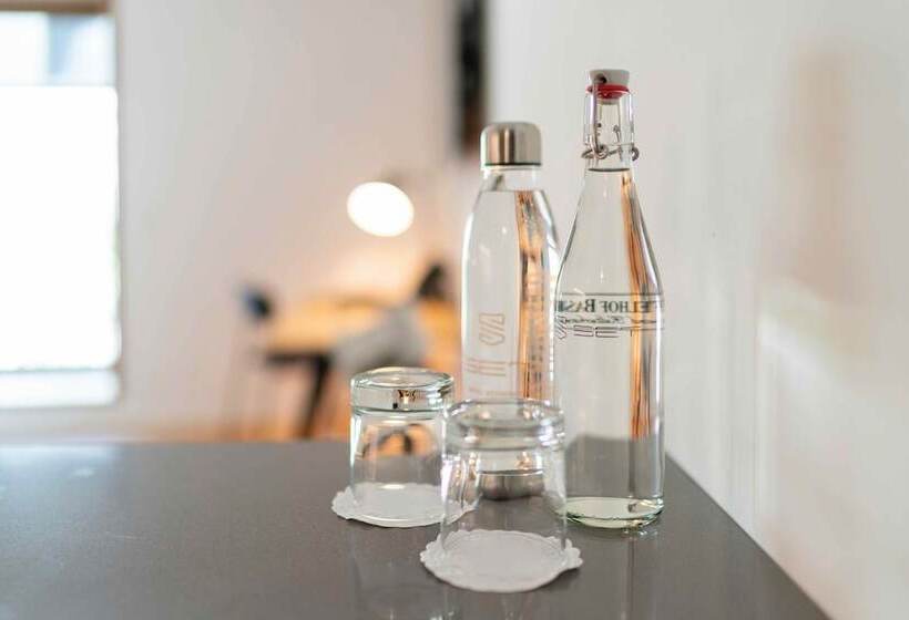 庭の見える1ベッドルームアパートメント, Set Hotel.residence By Teufelhof Basel