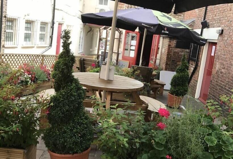 Номер Superior, Chapter Two Bar