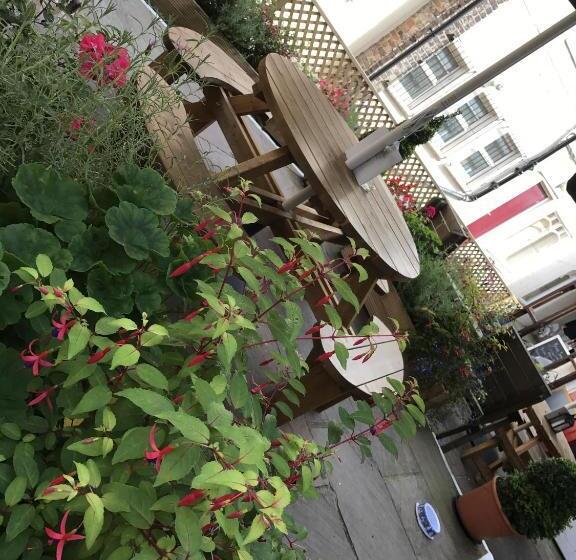 Номер Superior, Chapter Two Bar