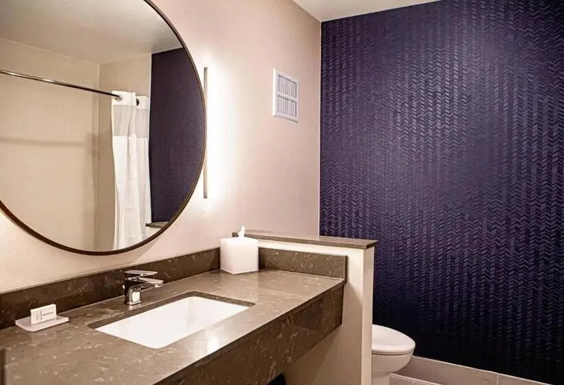Standard-huone King-vuode, Fairfield Inn & Suites By Marriott Richmond Airport