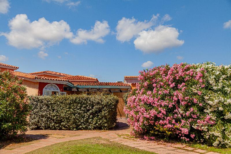 اتاق استاندارد, Holiday Garden Hotel Skm Park