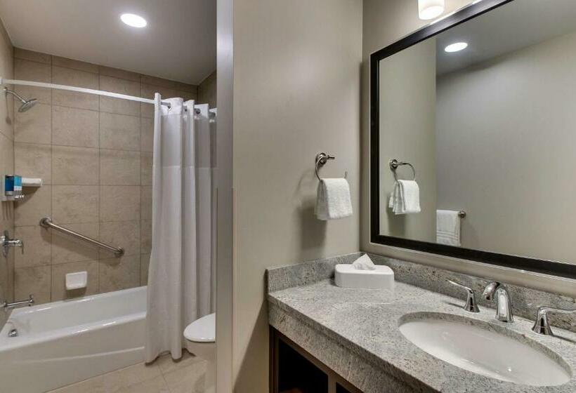 اتاق لوکس با تخت بزرگ, Drury Plaza Hotel Milwaukee Downtown