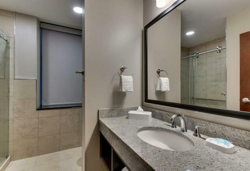 带大床的豪华间, Drury Plaza Hotel Milwaukee Downtown