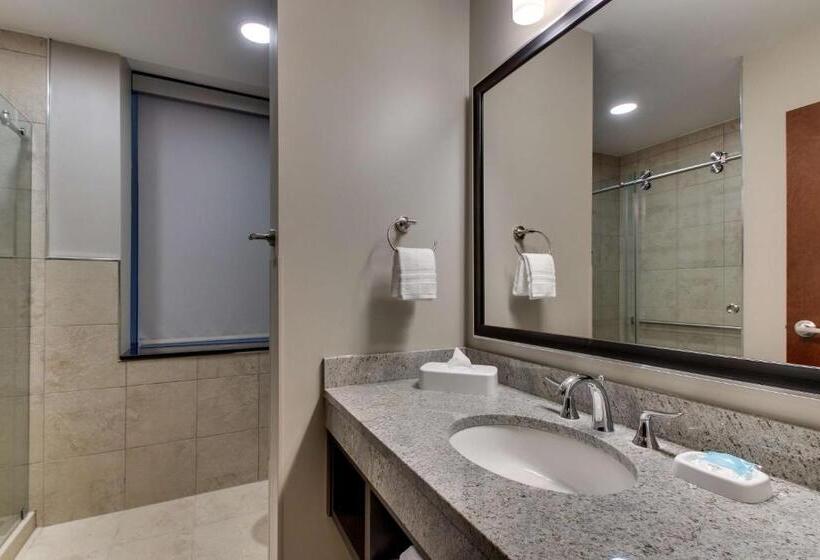 高级套房, Drury Plaza Hotel Milwaukee Downtown