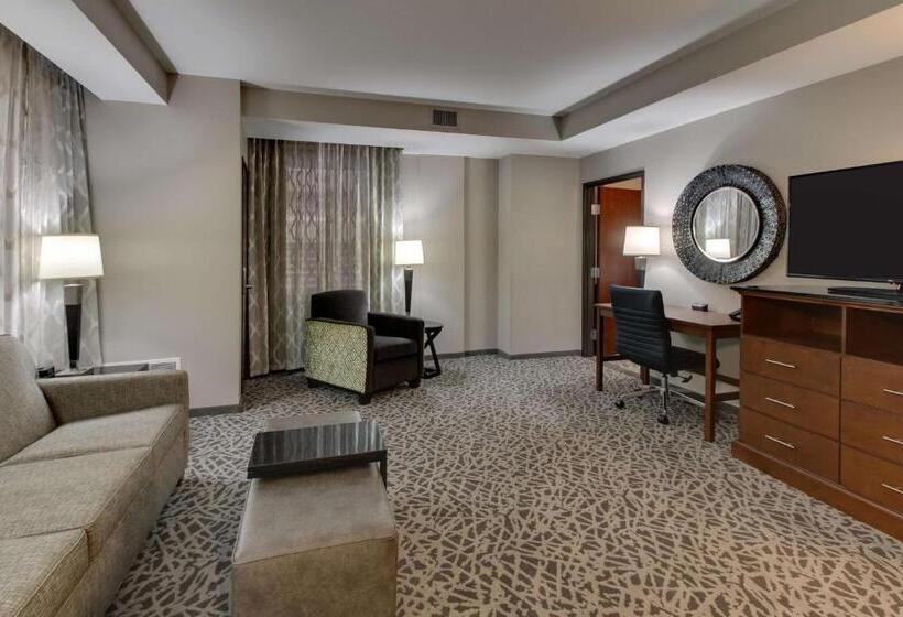 适合残疾人士使用的套间, Drury Plaza Hotel Milwaukee Downtown