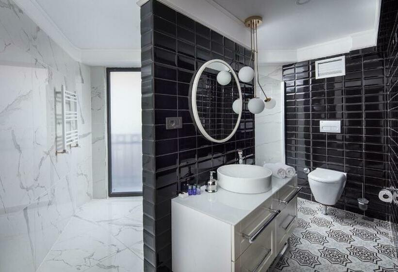اتاق سوپریور, B Loft