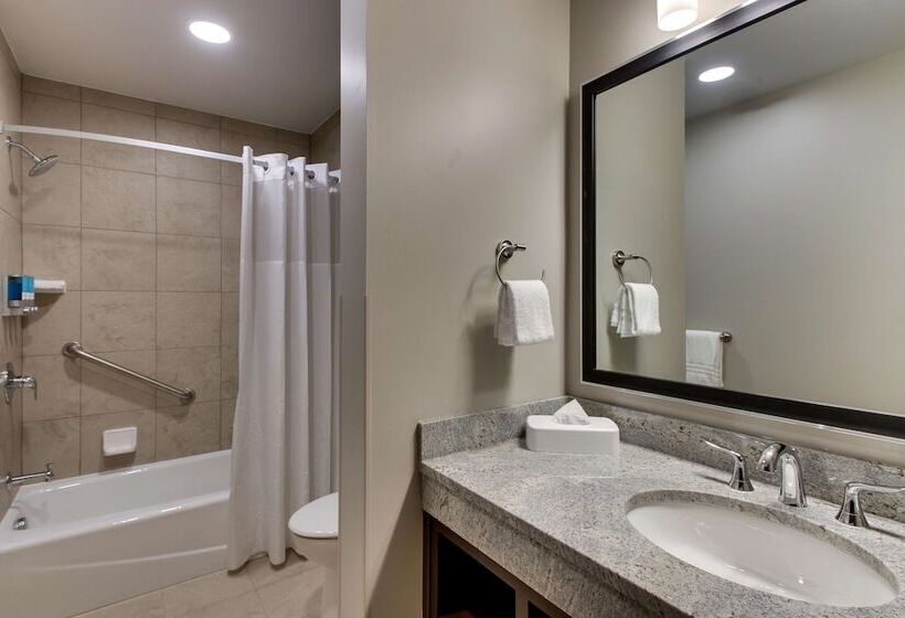 اتاق لوکس, Drury Plaza Hotel Milwaukee Downtown