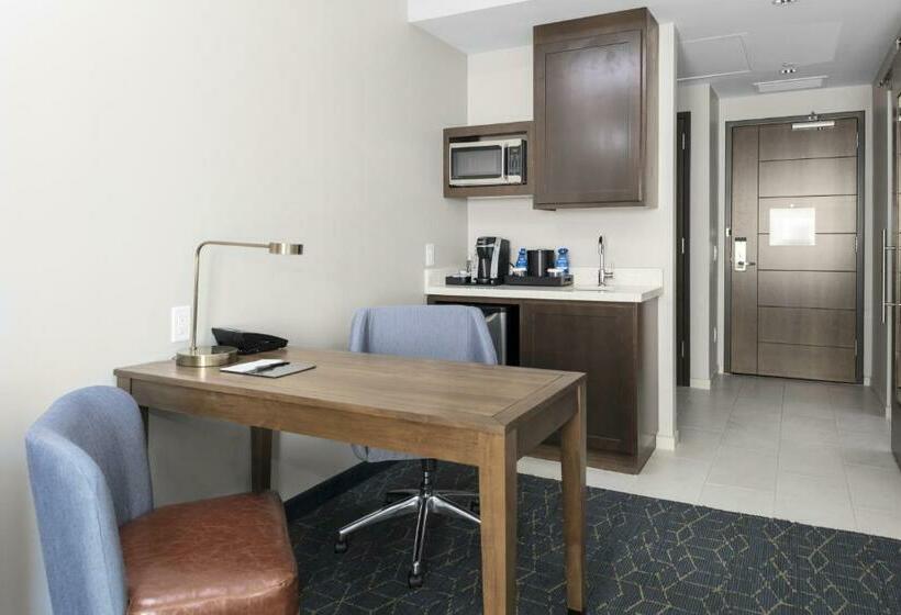 سوئیت با تخت بزرگ, Embassy Suites By Hilton Grand Rapids Downtown,mi
