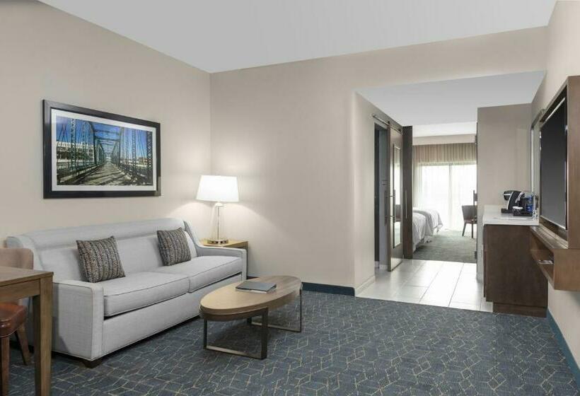 سوئیت با تخت بزرگ, Embassy Suites By Hilton Grand Rapids Downtown,mi