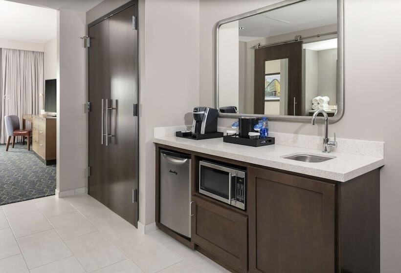 سوئیت با چشم‌انداز, Embassy Suites By Hilton Grand Rapids Downtown,mi