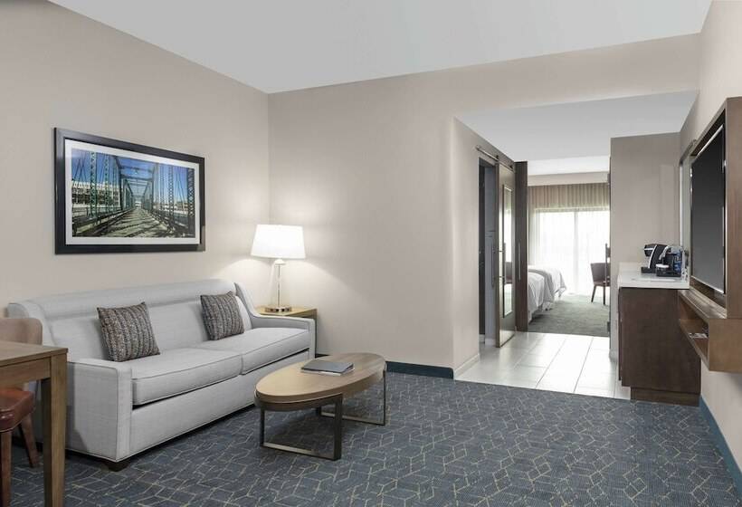 سوئیت با چشم‌انداز, Embassy Suites By Hilton Grand Rapids Downtown,mi