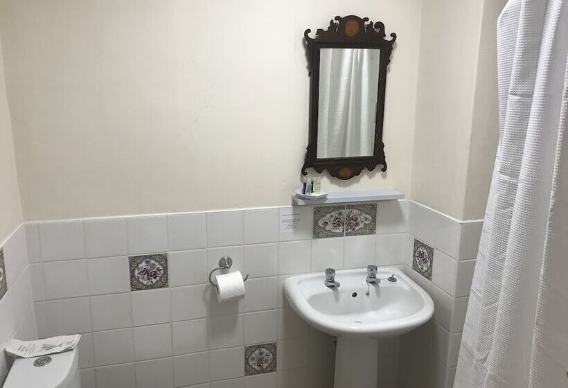 غرفة قياسية, The George Inn