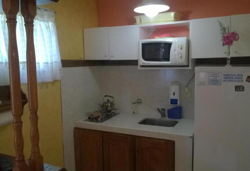 إستوديو قياسى, Casa Celeste