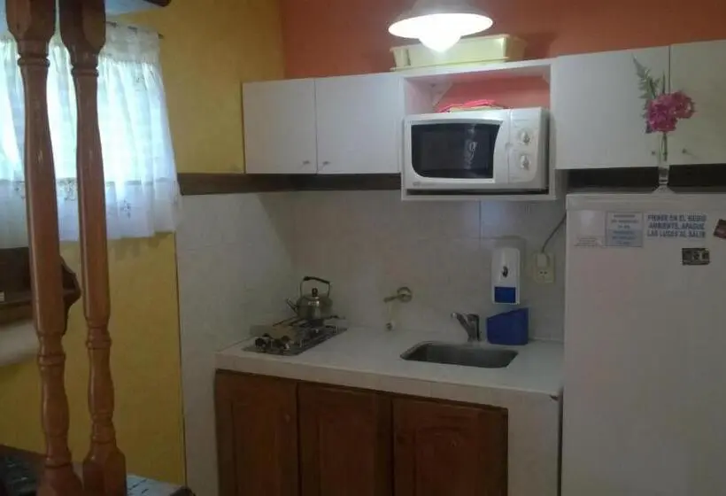 استودیوی استاندارد, Casa Celeste