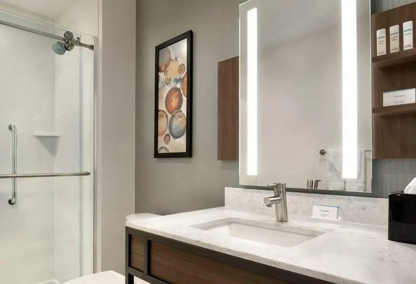 身障者適用スタンダードルーム, Hilton Garden Inn Chicago Downtown South Loop