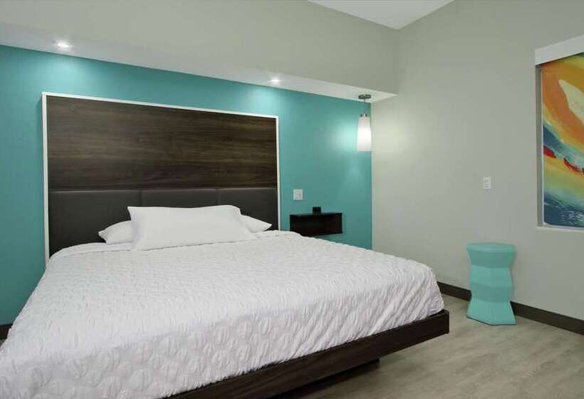 Quarto Standard Cama King para Deficientes, Hilton Garden Inn Chicago Downtown South Loop