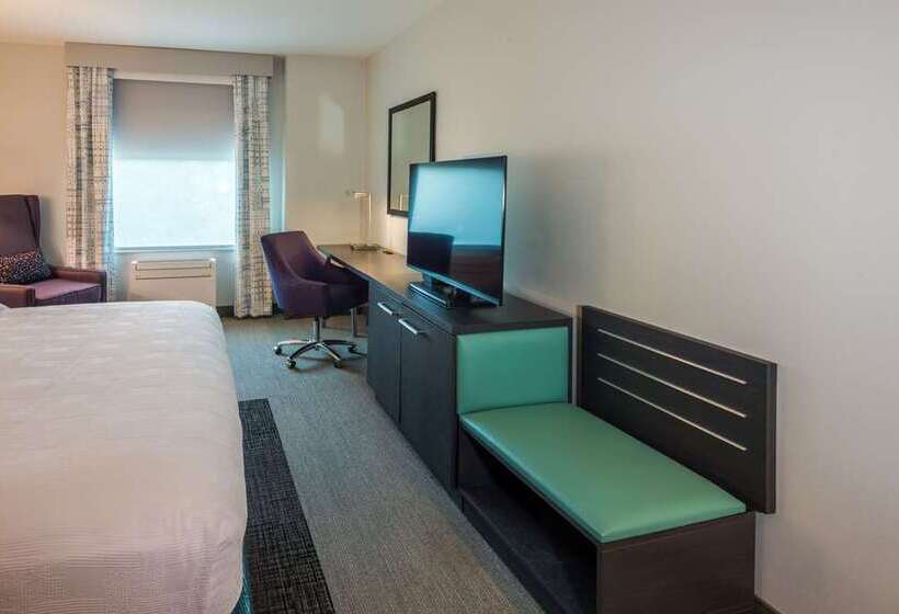 Quarto Standard Cama King para Deficientes, Hilton Garden Inn Chicago Downtown South Loop
