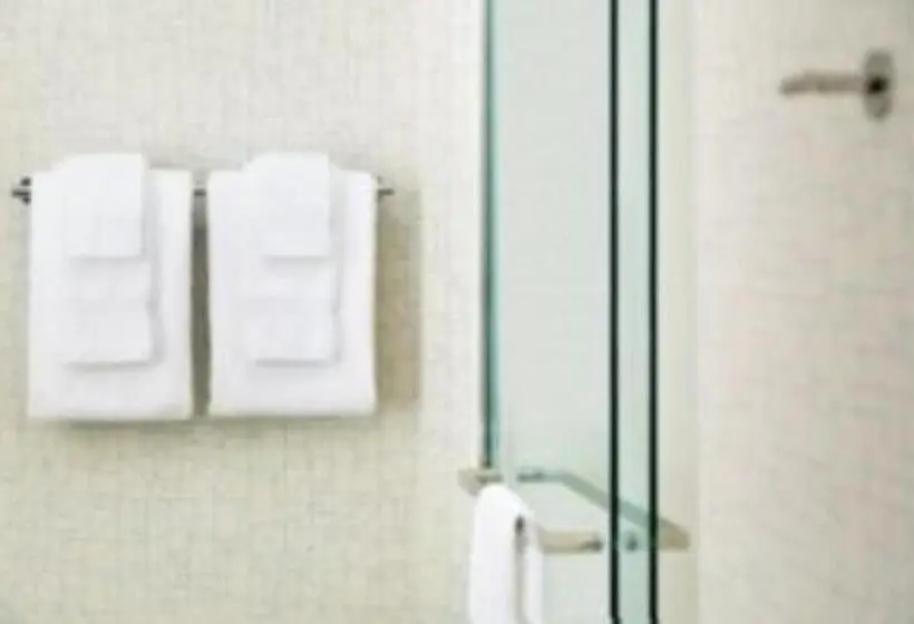 اتاق استاندارد با تخت بزرگ برای معلولان, Holiday Inn Express & Suites Savannah N Port Wentworth, An Ihg