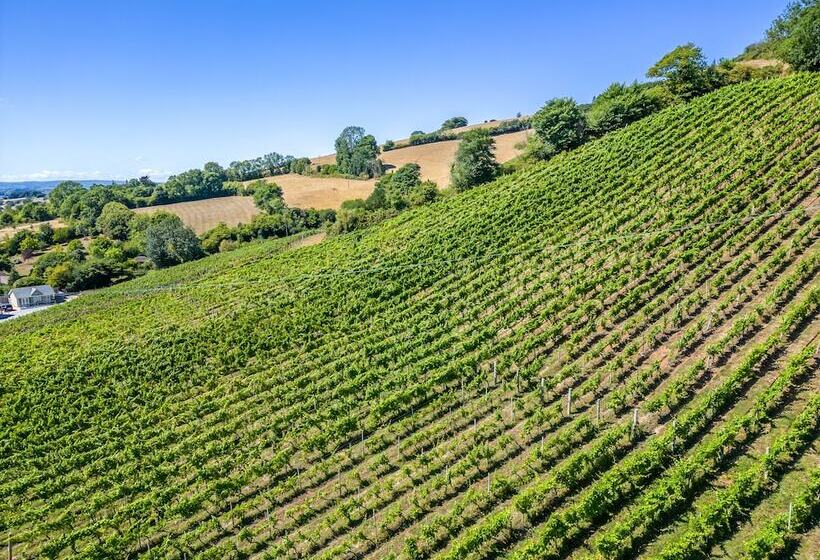 침실 1개 주택, Old Walls Vineyard