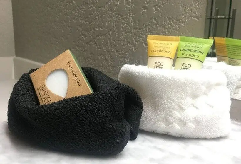 身障者適用スタンダードルーム, The Hotel Sturgis