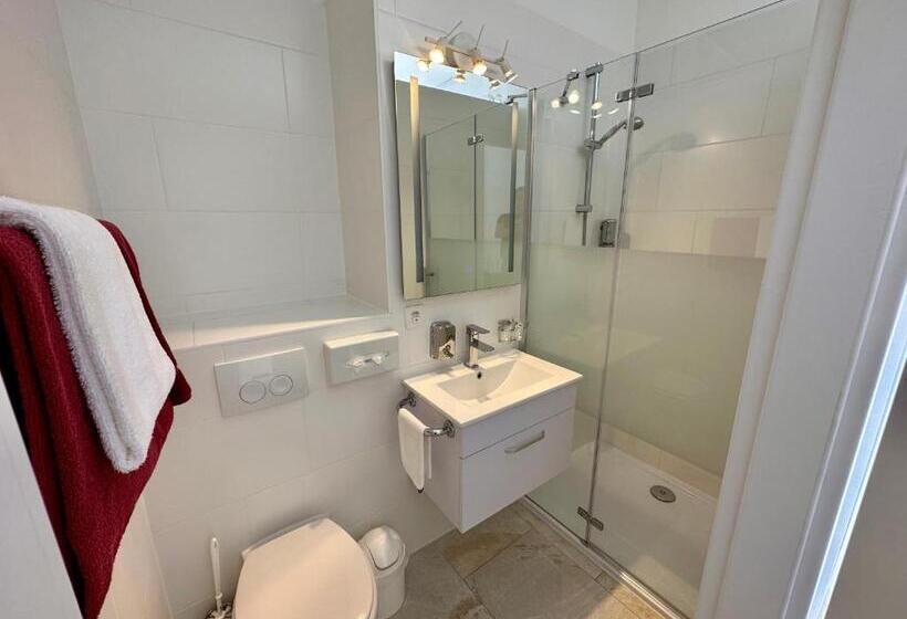 غرفة قياسية فردية, Garni Morettina