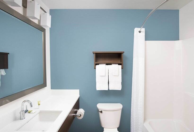 ２ダブルベッドのスタンダードルーム, Woodspring Suites Las Colinas   Northwest Dallas