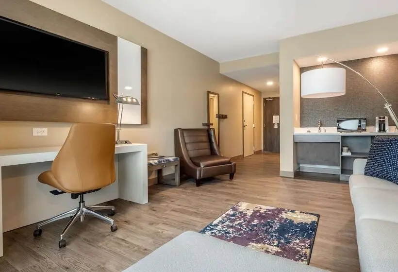 身障者適用スイートルーム, Cambria Hotel Fort Mill