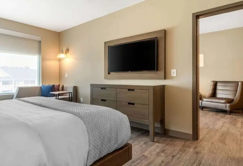 身障者適用スイートルーム, Cambria Hotel Fort Mill
