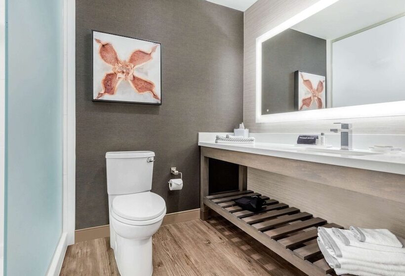 جناح لذوى الاحتياجات الخاصة, Cambria Hotel Fort Mill