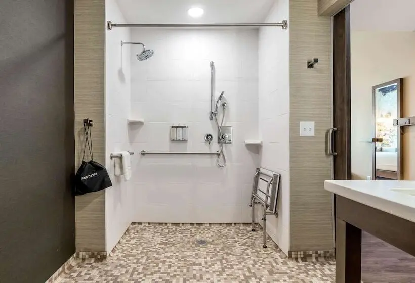 身障者適用スイートルーム, Cambria Hotel Fort Mill