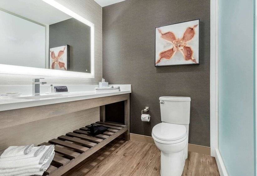 جناح لذوى الاحتياجات الخاصة, Cambria Hotel Fort Mill