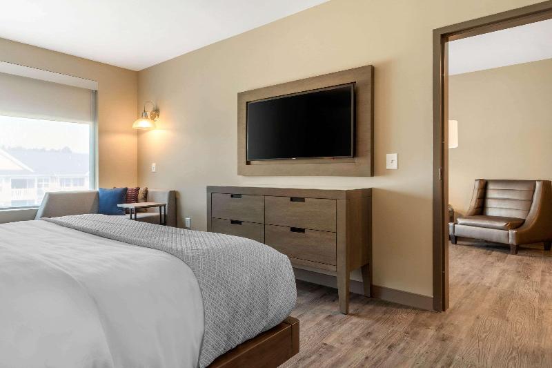 Люкс Адаптированный для Инвалидов, Cambria Hotel Fort Mill
