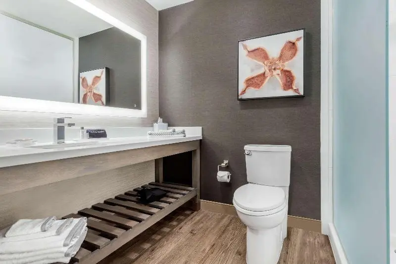 キングサイズベッドのスイートルーム, Cambria Hotel Fort Mill