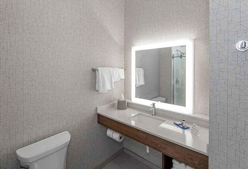 スイート, Holiday Inn Express & Suites Columbus Worthington, An Ihg