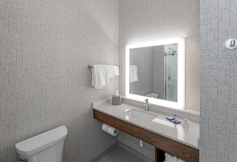 キングサイズベッドのスイートルーム, Holiday Inn Express & Suites Columbus Worthington, An Ihg