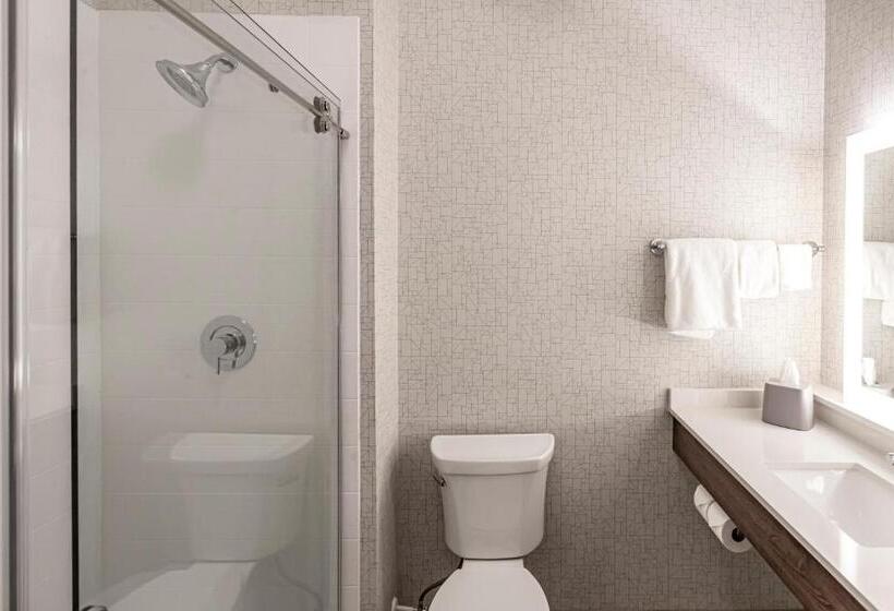 适合残疾人使用的标准间, Holiday Inn Express & Suites   Columbus   Worthington, An Ihg