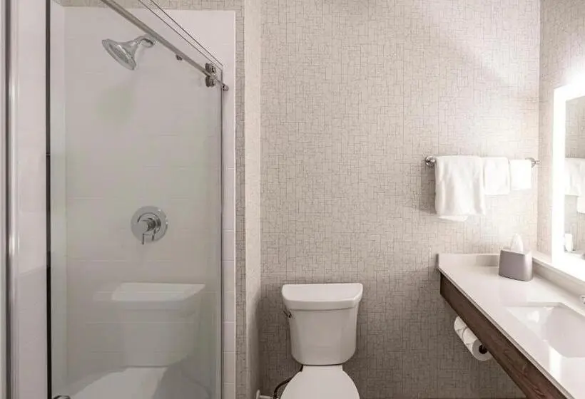 身障者適用スタンダードルーム, Holiday Inn Express & Suites Columbus Worthington, An Ihg
