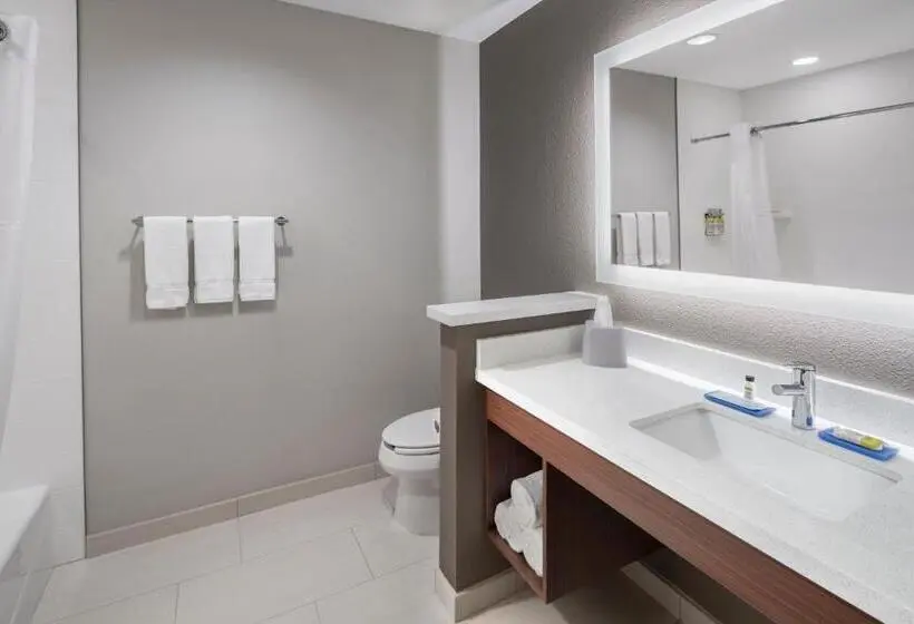 身障者適用キングサイズベッドルーム, Holiday Inn Express & Suites   Odessa I 20, An Ihg