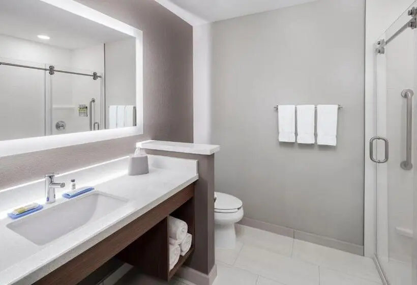 身障者適用スタンダードルーム, Holiday Inn Express & Suites   Odessa I 20, An Ihg