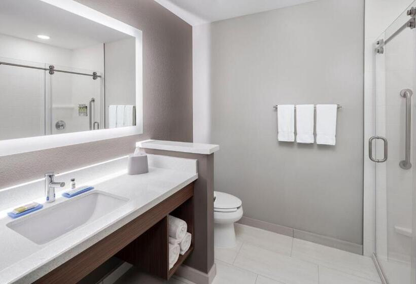 Люкс Кровать Кинг, Holiday Inn Express & Suites   Odessa I 20, An Ihg