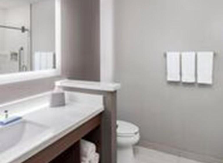 Люкс Кровать Кинг, Holiday Inn Express & Suites   Odessa I 20, An Ihg