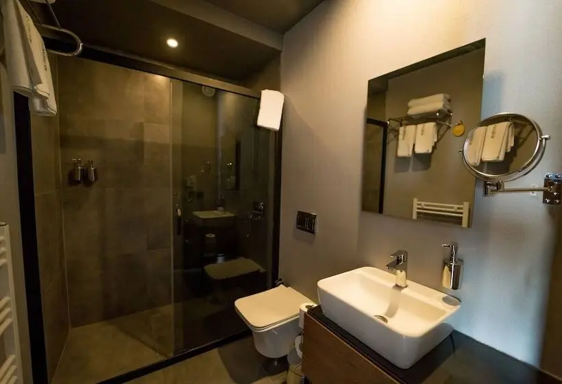 اتاق لوکس خانوادگی, The Kayseri Loft