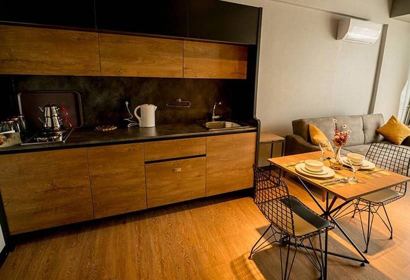 带1个卧室的豪华公寓, The Kayseri Loft