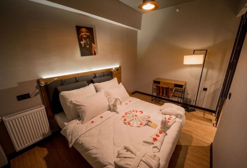 带1个卧室的豪华公寓, The Kayseri Loft